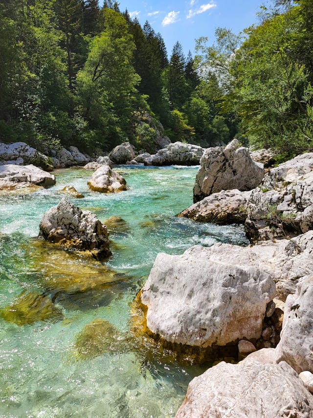Slovenië